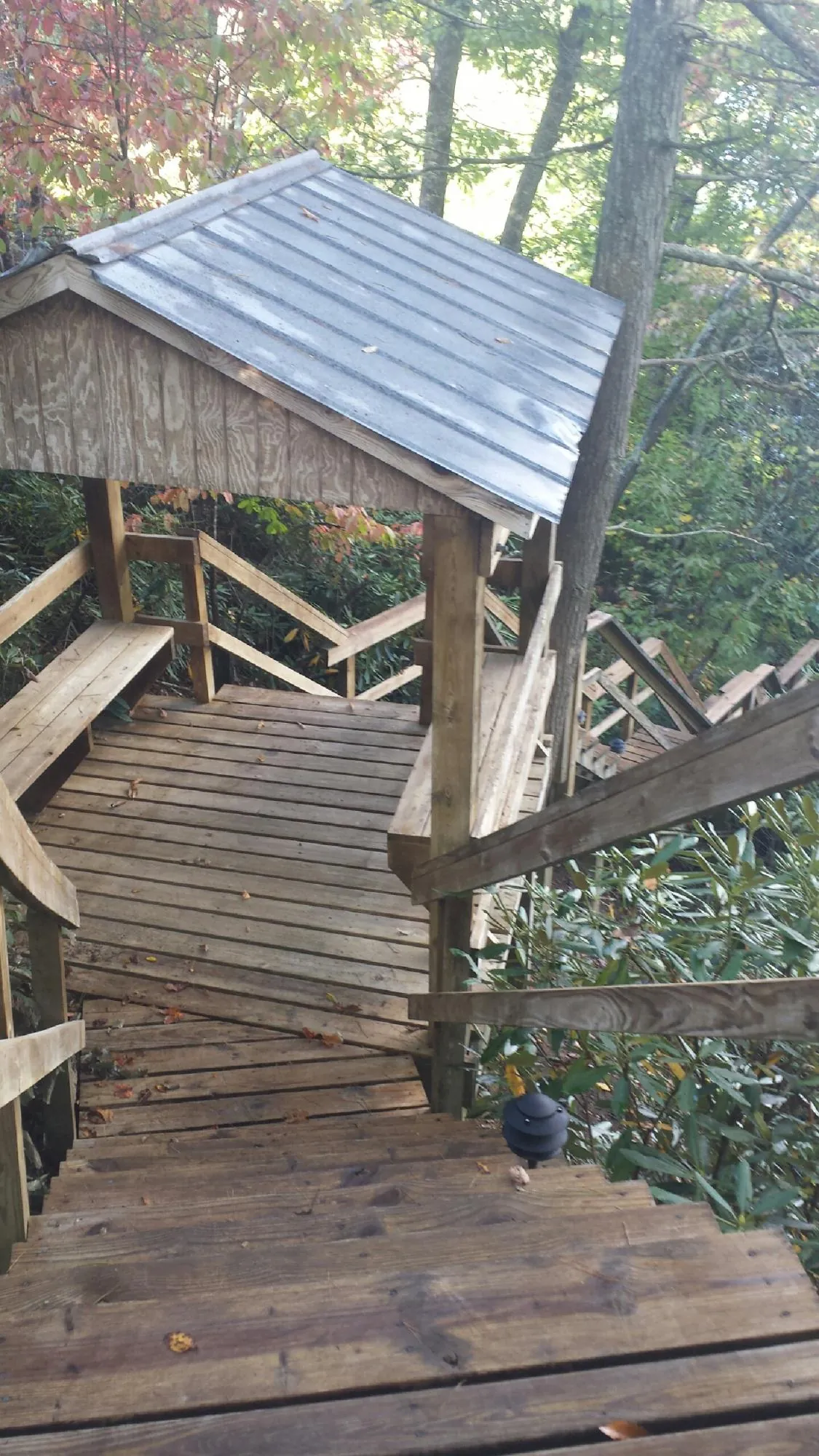 Metal roofed shelter over wooden steps on a wooded walkway — Skylight Repair & Installation work by our crew in Buna